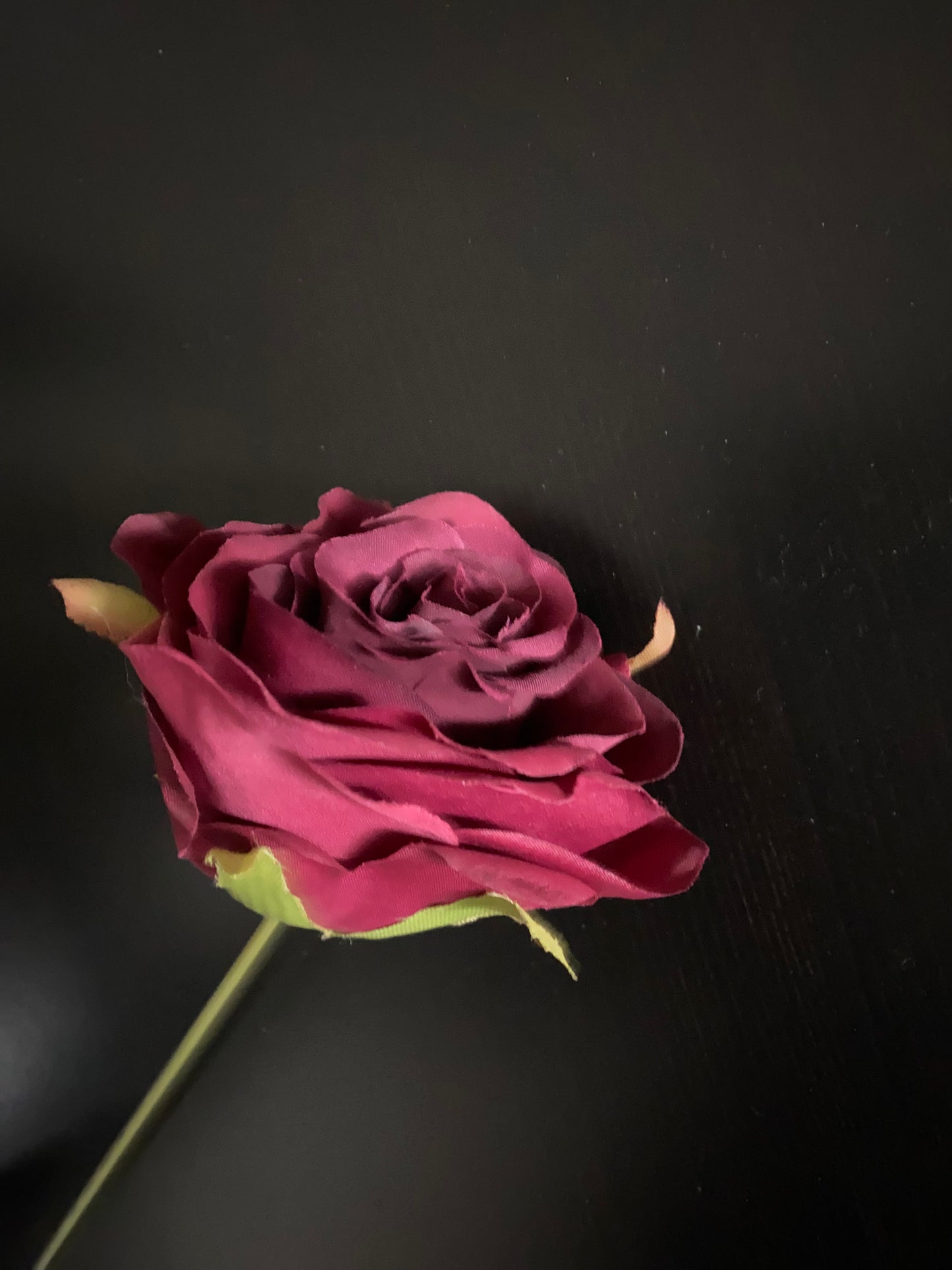 Maroon rose pick