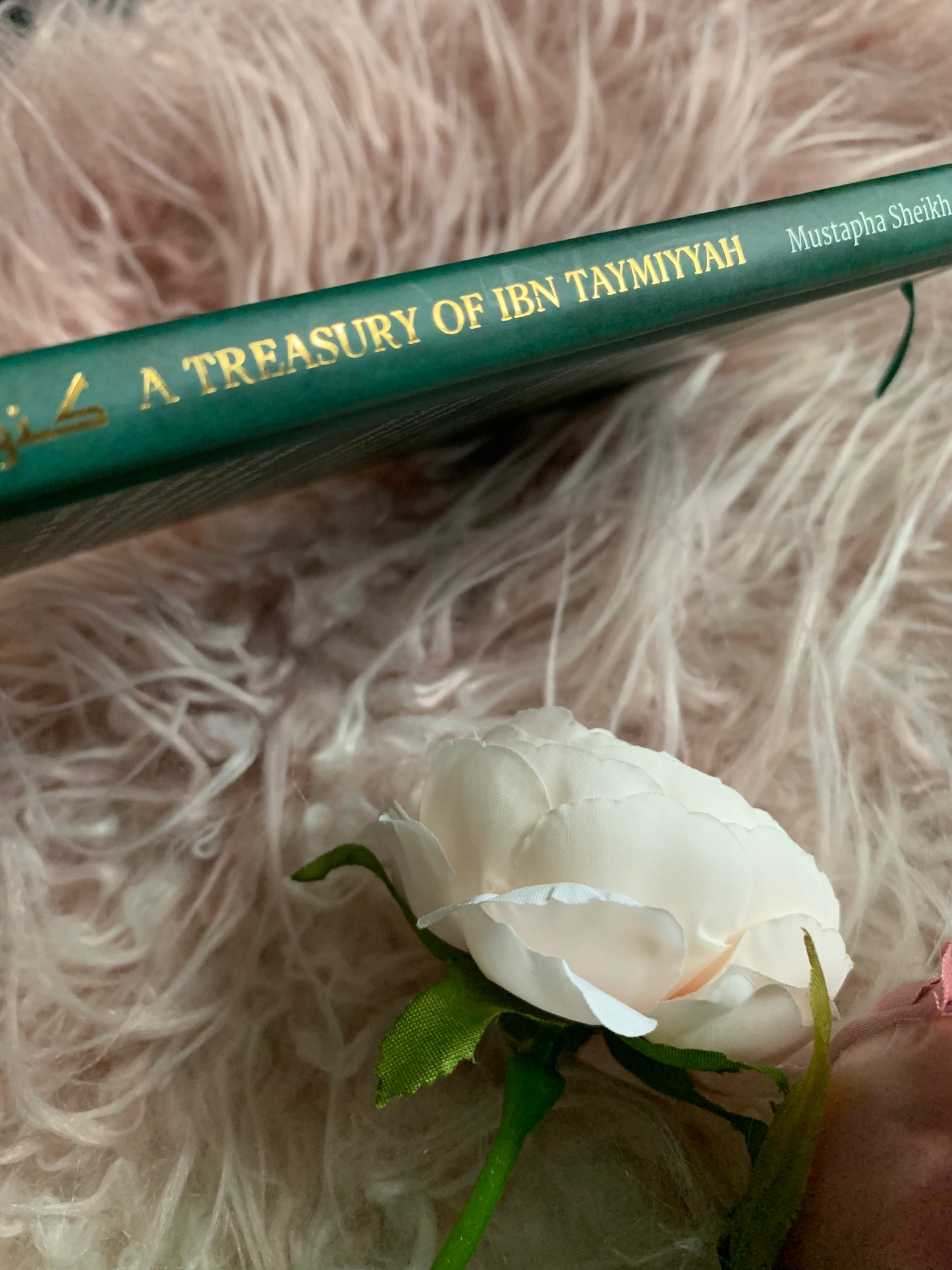 A treasury of ibn Taymiyyah