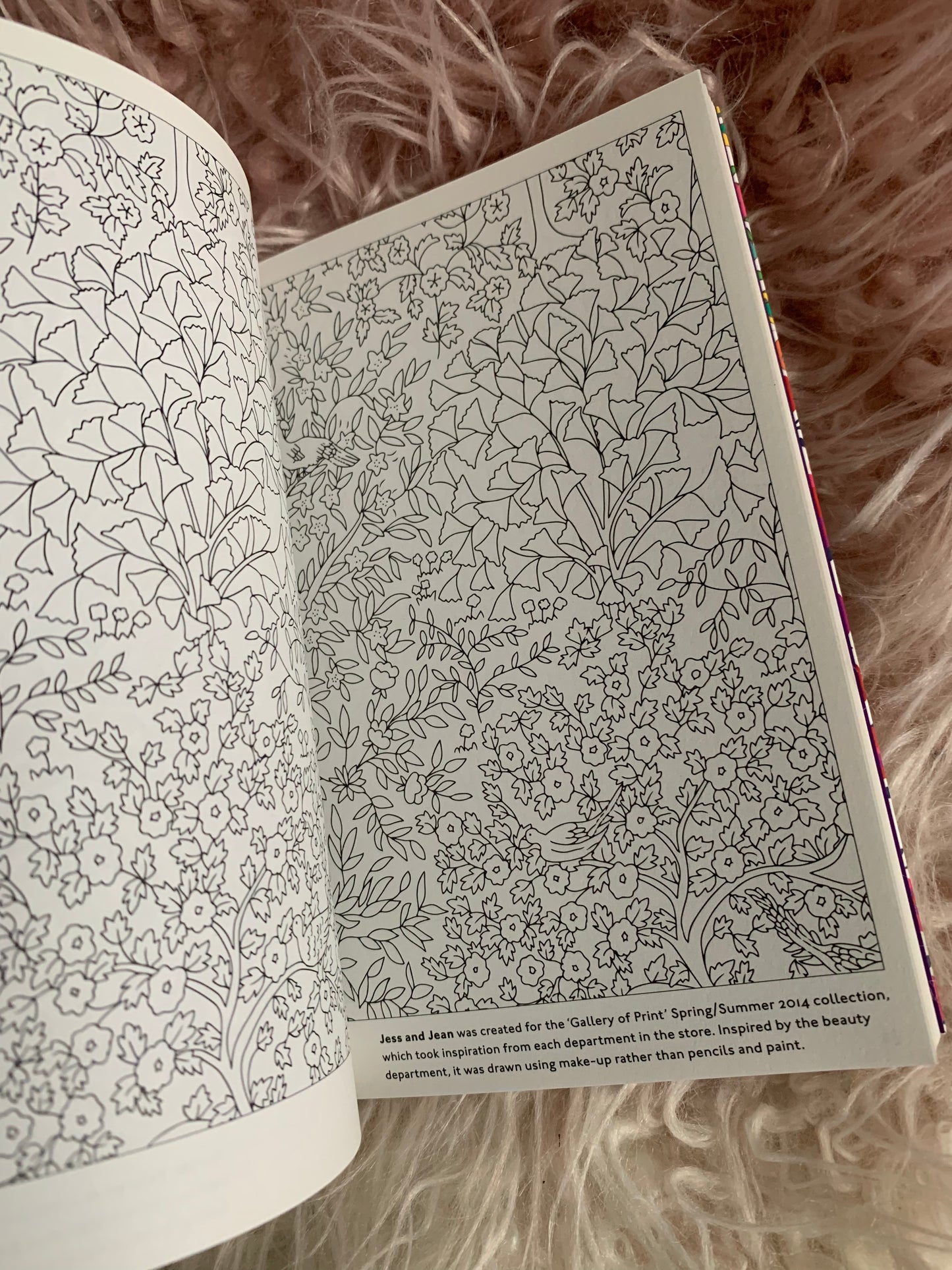 Liberty colouring book