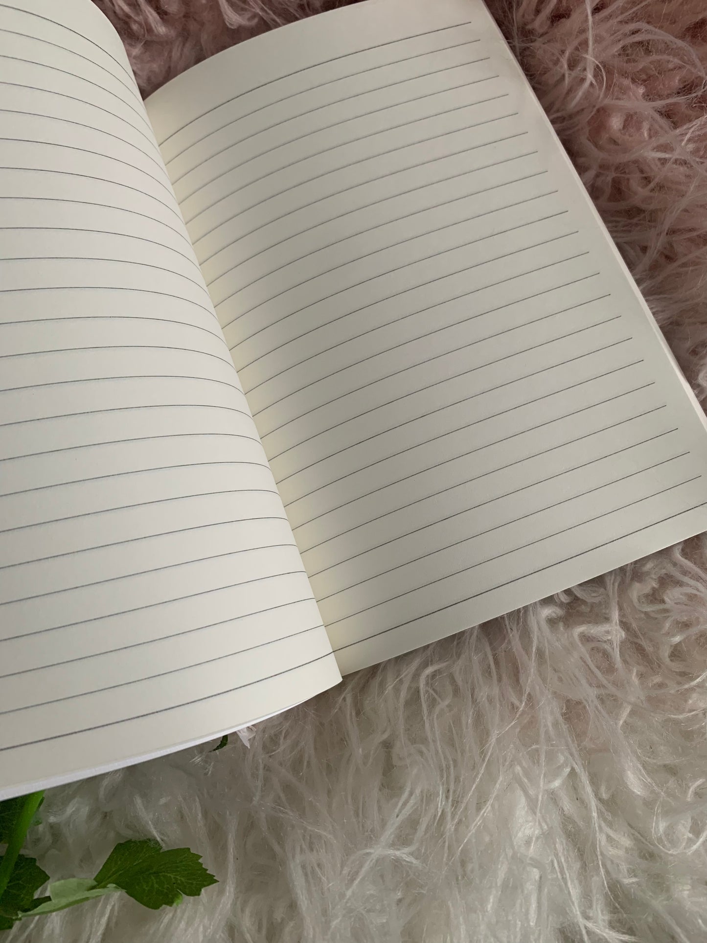Gratitude notebook