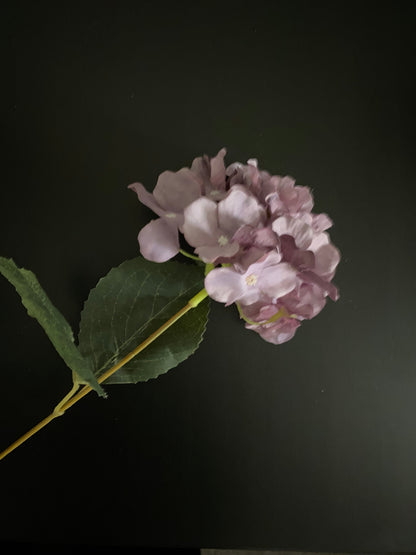 Hydrangea vintage purple