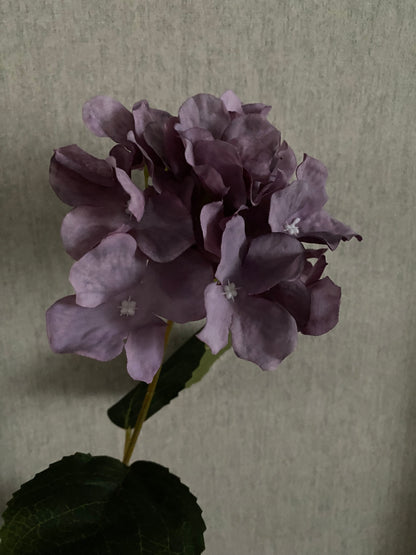 Hydrangea vintage purple